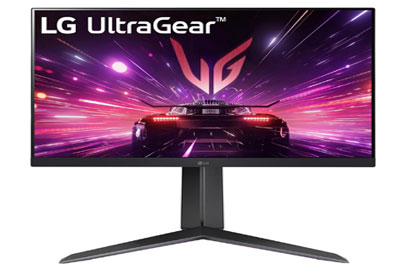 LG Ultragear 24GS65F IPS Full HD Gaming Monitor